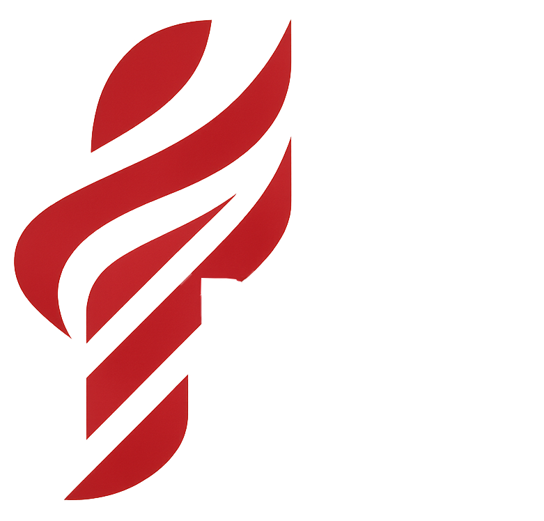 Danpol-logo-3-beyaz-buyuk