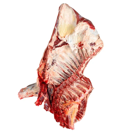 Forequarter, pistol cut - Image 2
