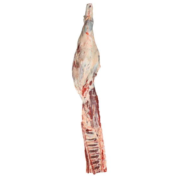 Hindquarter Pistol Cut – 8 Ribs - Obraz 5