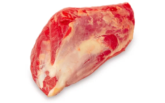 Shoulder Infraspinatus, Trimmed