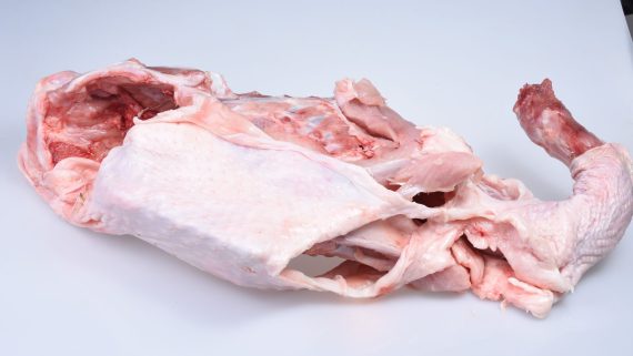Turkey Broth Portion (without Wing)